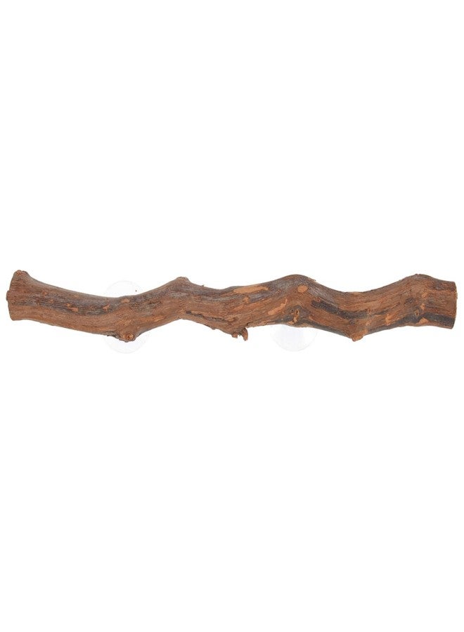BUGUUYO Grape Wood Stand Bearded Dragon Toy Suction Tree Branch Lizard Supplies Terrarium Decor - Image 1